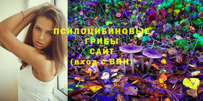 Галлюциногенные грибы Magic Shrooms  сколько стоит  Лабытнанги 